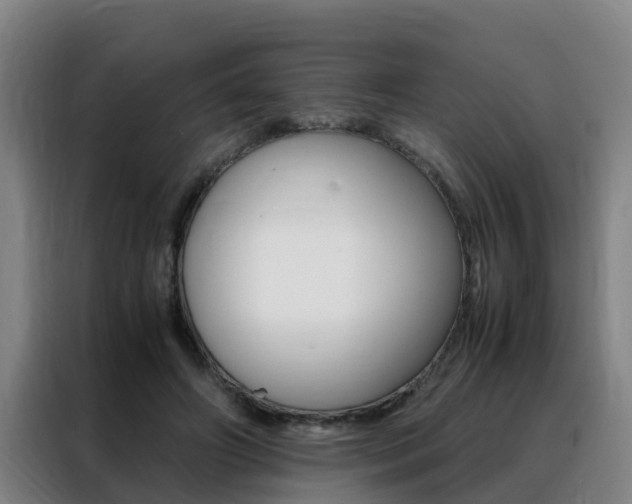 X0000088400498200705220824