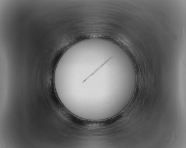 X0000088400499200705220824