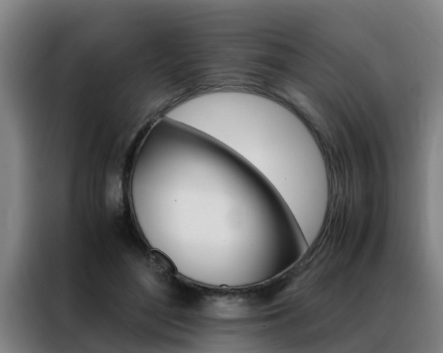 X0000088400500200705220824