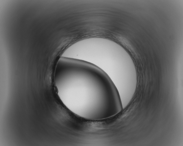 X0000088400501200705220824