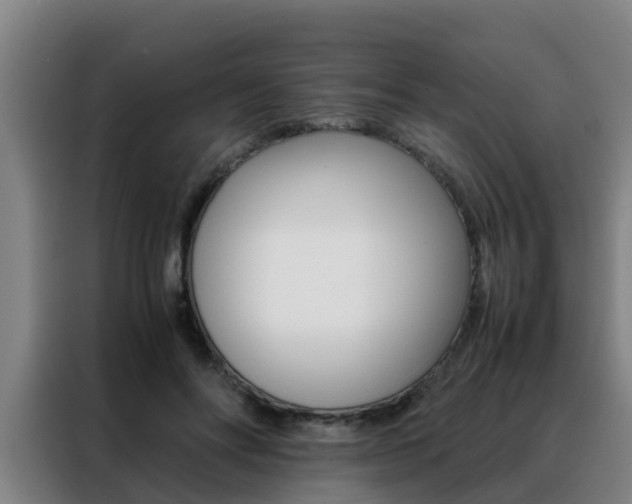 X0000088400502200705220824
