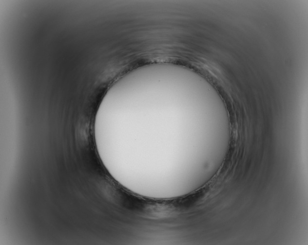 X0000088400503200705220824