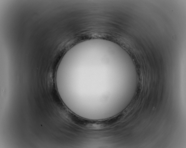 X0000088400506200705220824