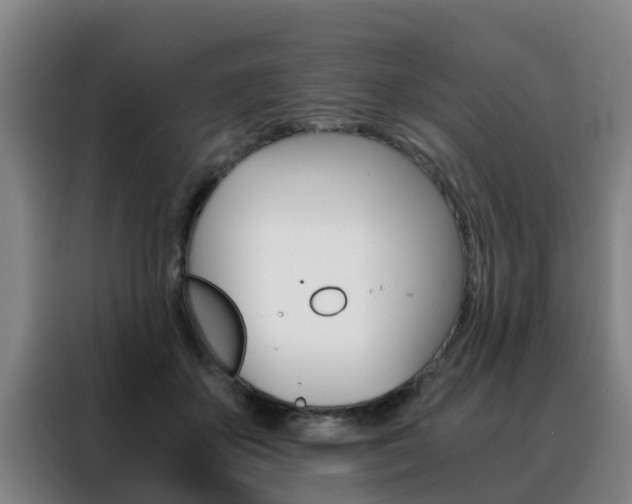 X0000088400507200705220824