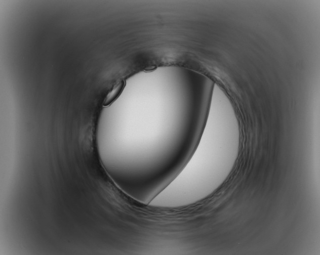 X0000088400509200705220824