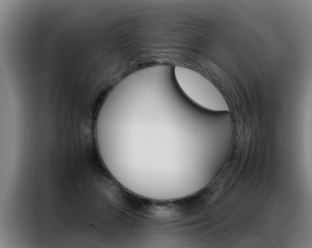 X0000088400510200705220824
