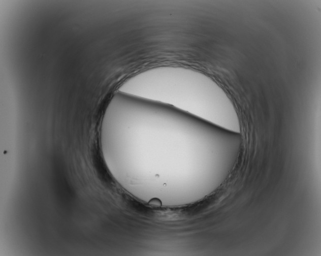 X0000088400511200705220824
