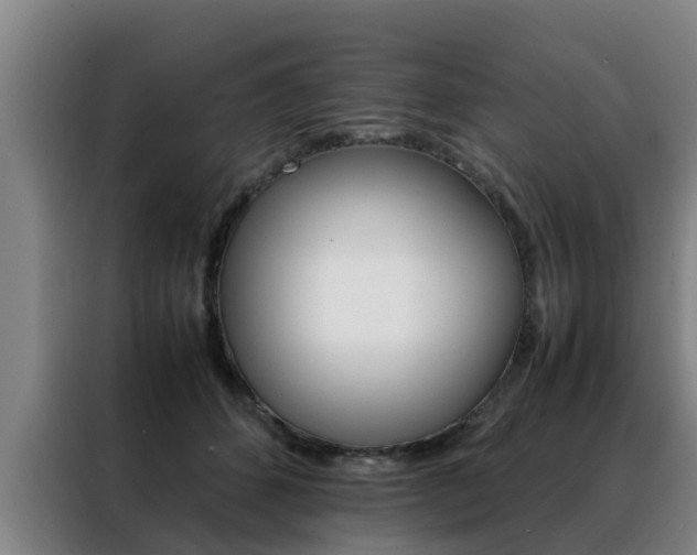 X0000088400512200705220824