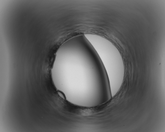X0000088400513200705220824