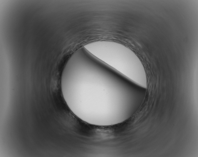 X0000088400515200705220824