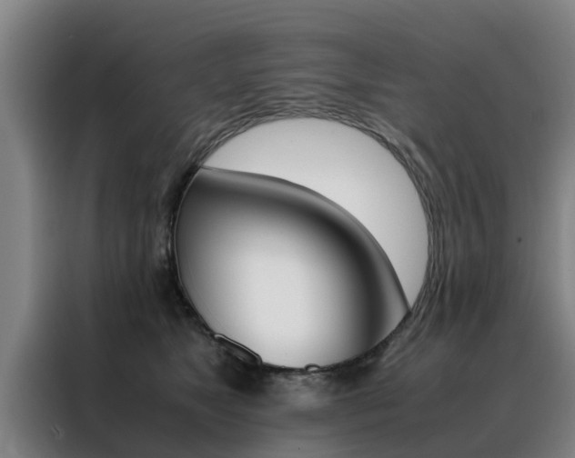 X0000088400517200705220824