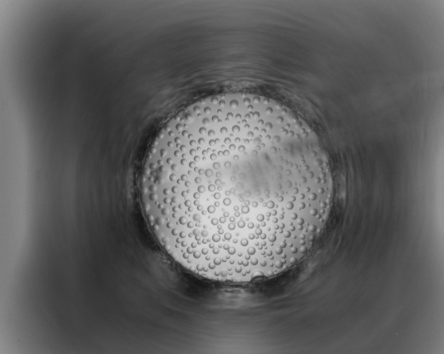 X0000088400519200705220824