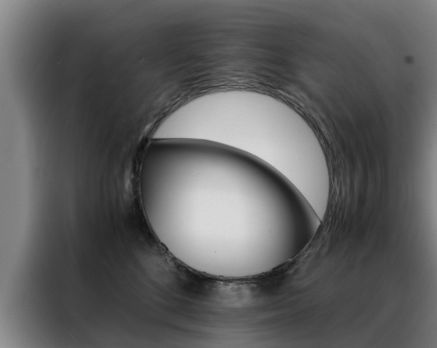 X0000088400520200705220824