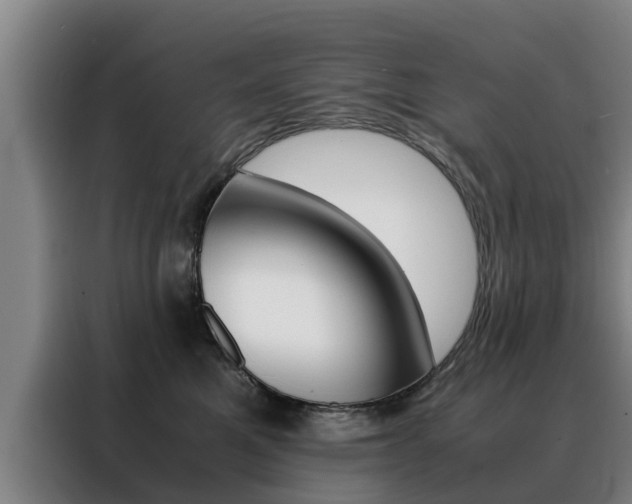 X0000088400521200705220824