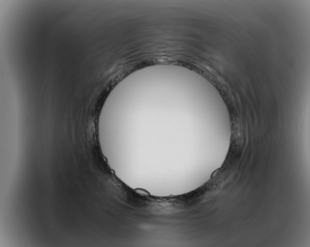 X0000088400523200705220824