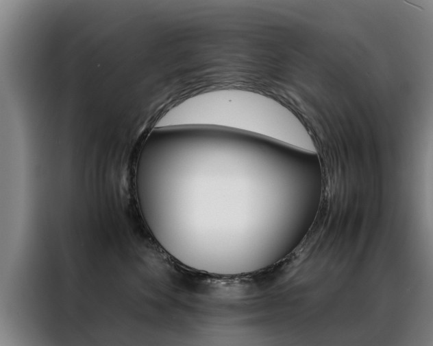 X0000088400524200705220824
