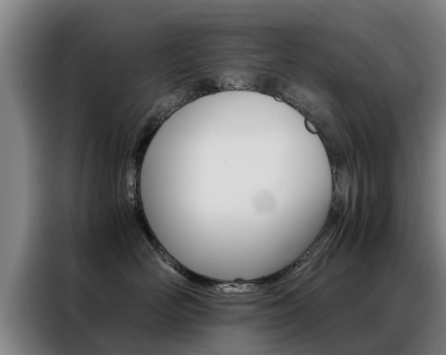 X0000088400526200705220824