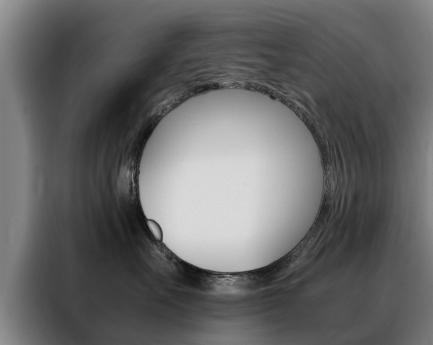 X0000088400527200705220824