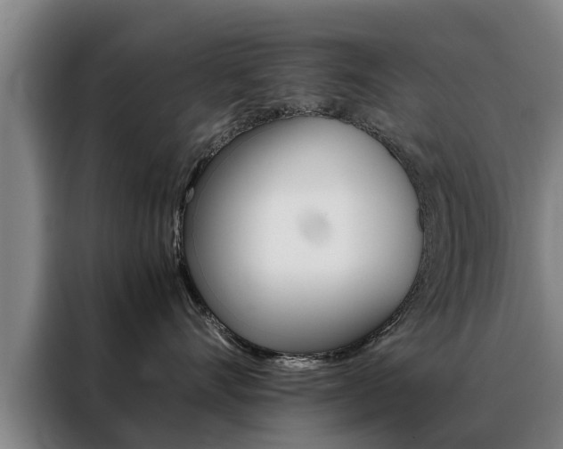 X0000088400528200705220824