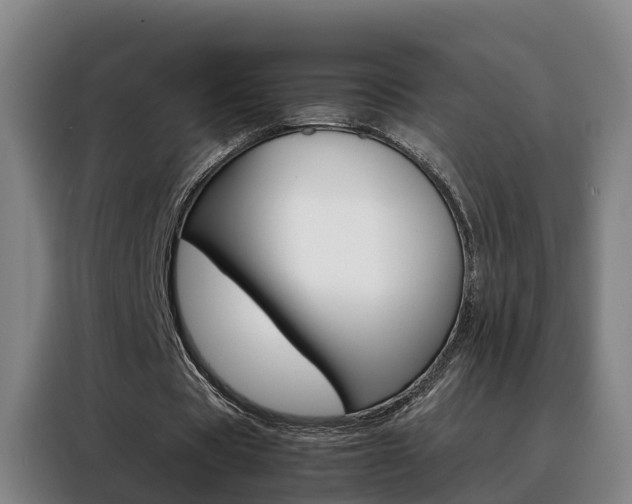 X0000088400529200705220823