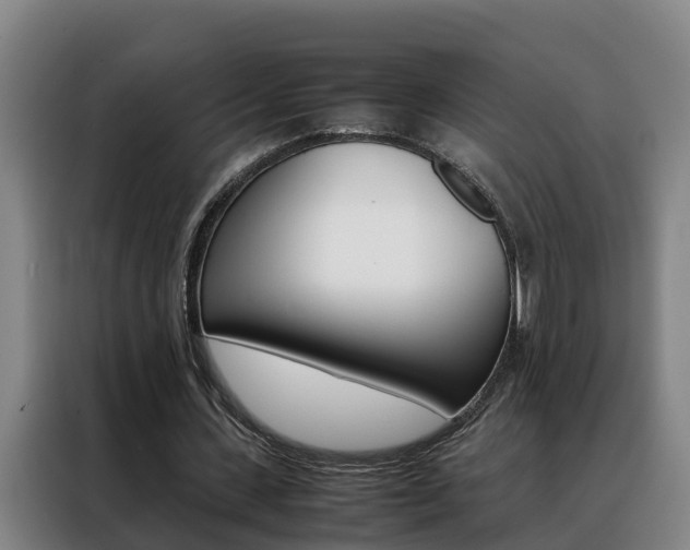 X0000088400531200705220823