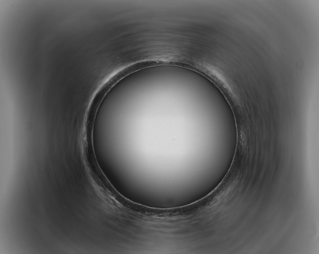 X0000088400532200705220823