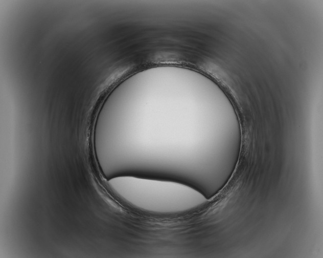 X0000088400533200705220823