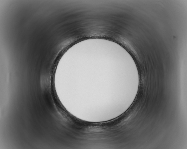X0000088400534200705220823