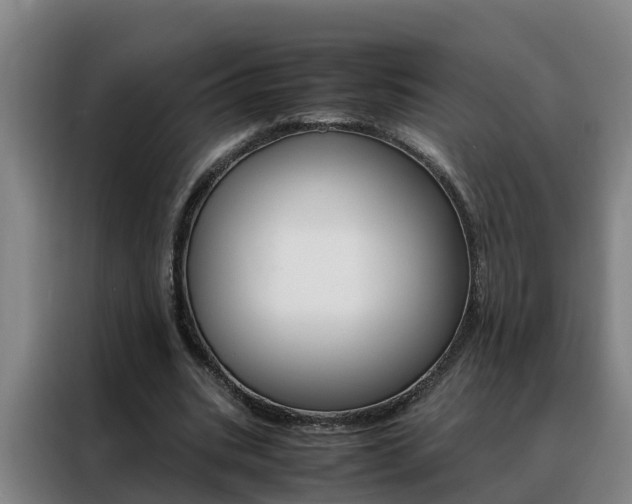 X0000088400535200705220823