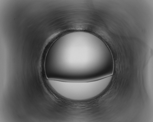 X0000088400536200705220823