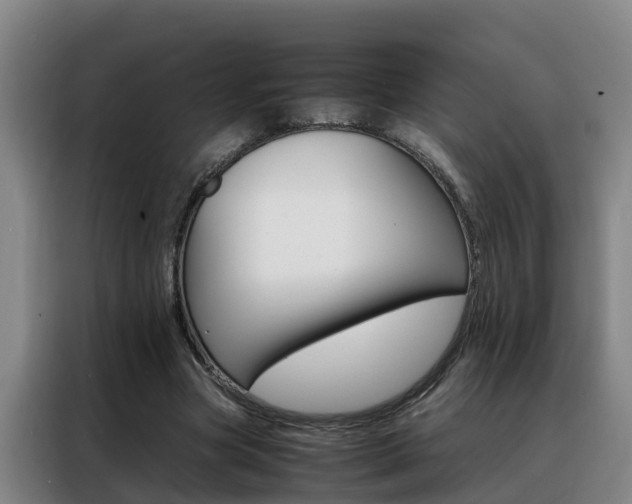 X0000088400537200705220823