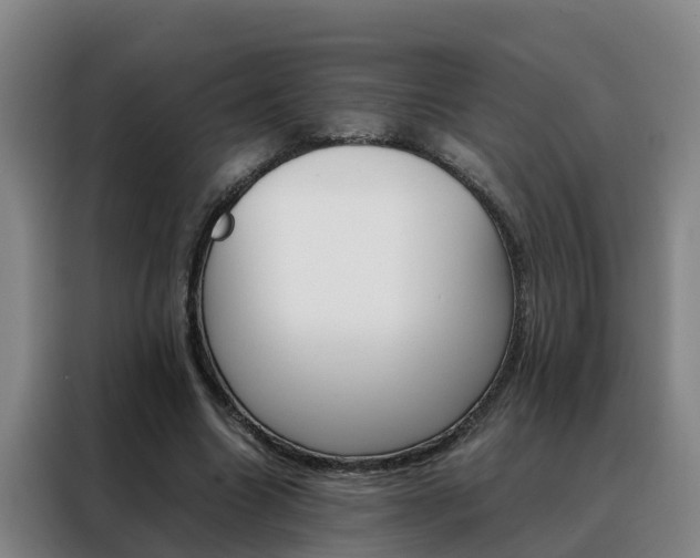 X0000088400538200705220823