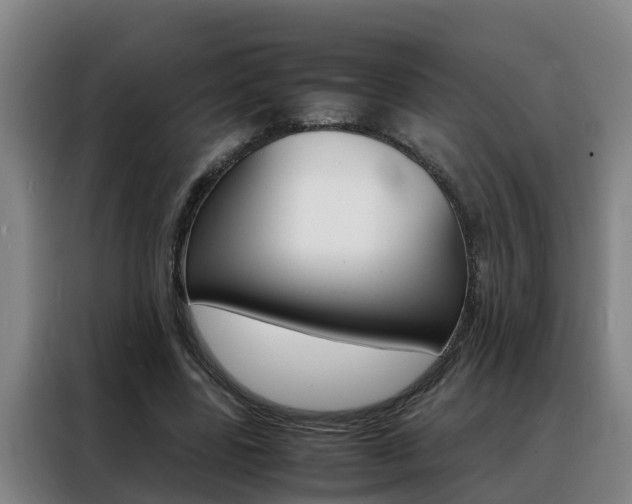 X0000088400539200705220823