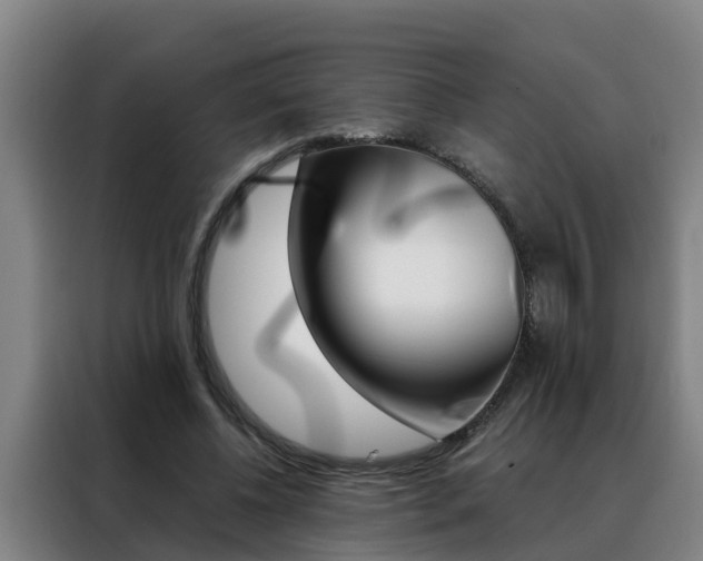 X0000088400540200705220823
