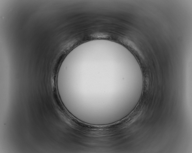 X0000088400541200705220823