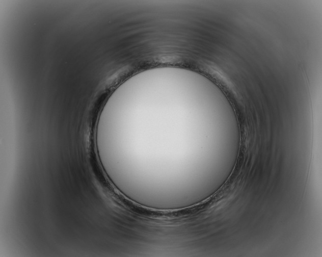 X0000088400542200705220823