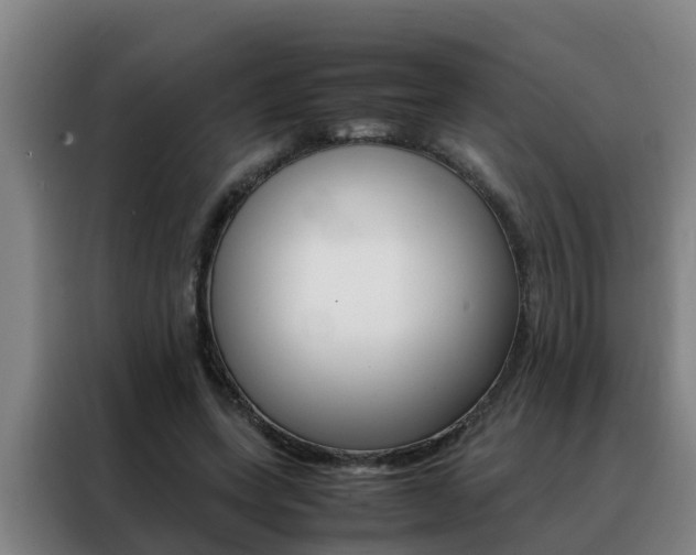 X0000088400543200705220823