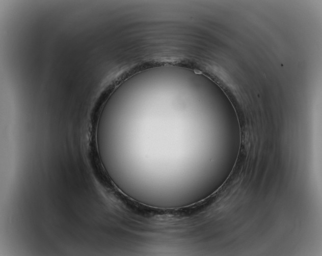 X0000088400544200705220823