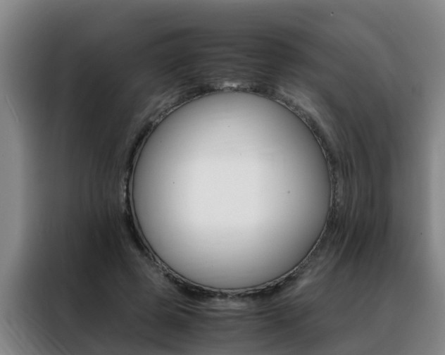 X0000088400545200705220823