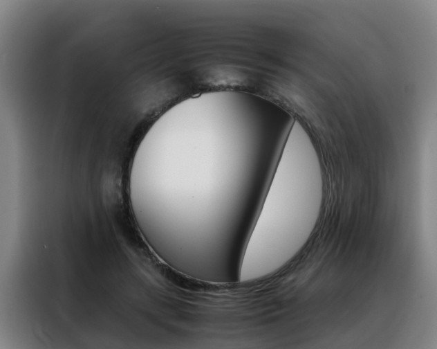 X0000088400547200705220823