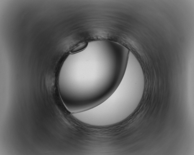 X0000088400548200705220823