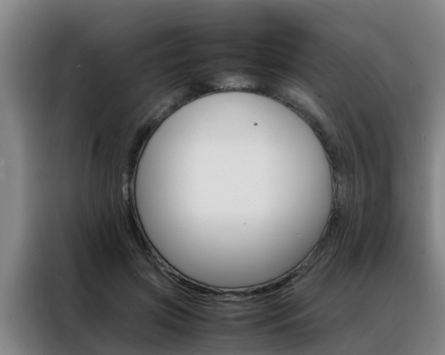 X0000088400549200705220823