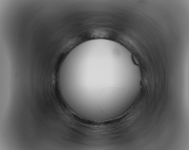 X0000088400551200705220823