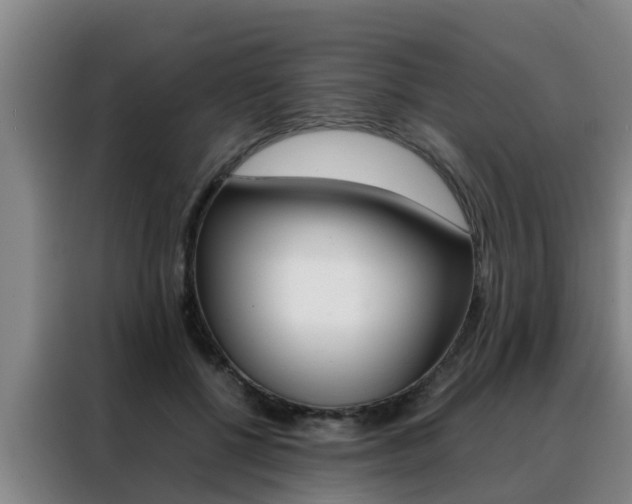 X0000088400552200705220823