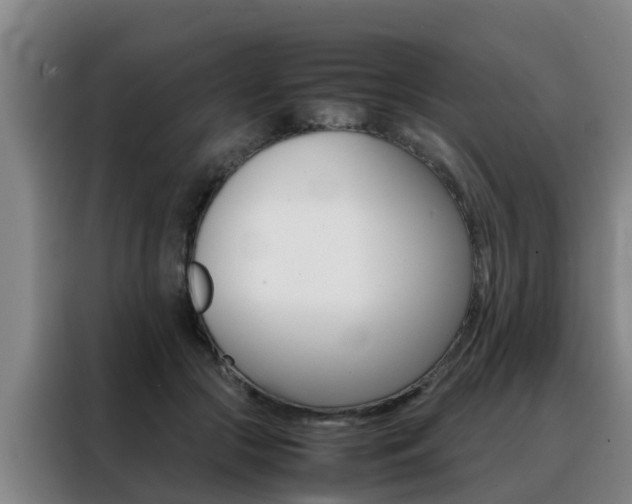 X0000088400553200705220823