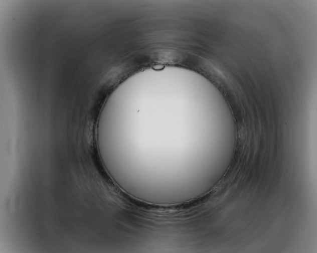 X0000088400554200705220823