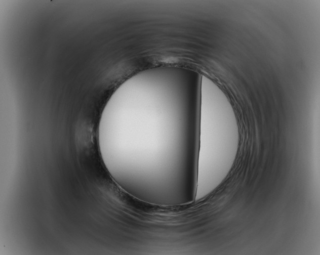 X0000088400555200705220823