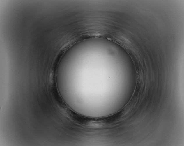 X0000088400556200705220823