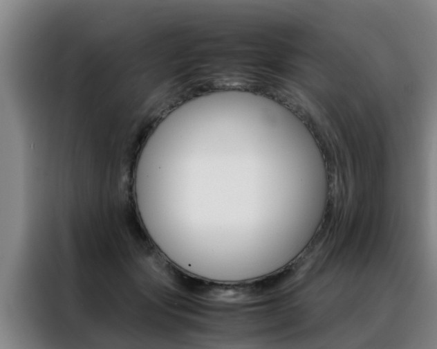 X0000088400557200705220823