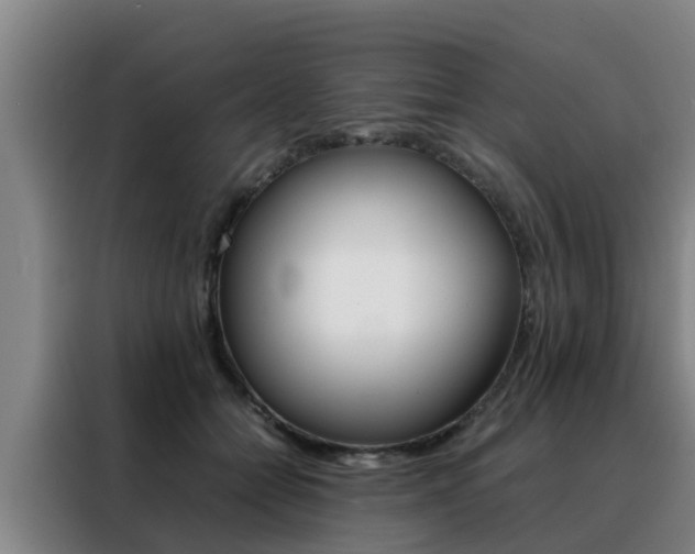 X0000088400558200705220823